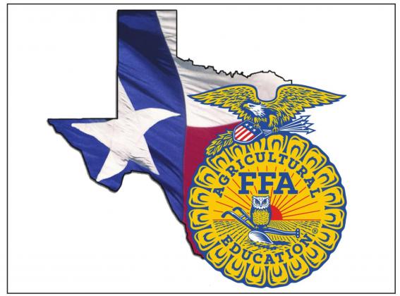 State FFA Convention