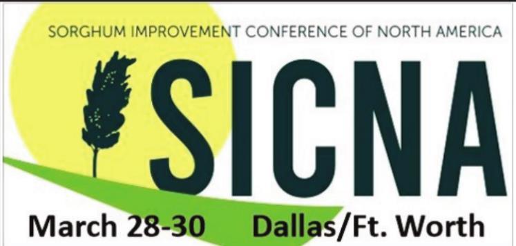 Registration for sorghum conference now open
