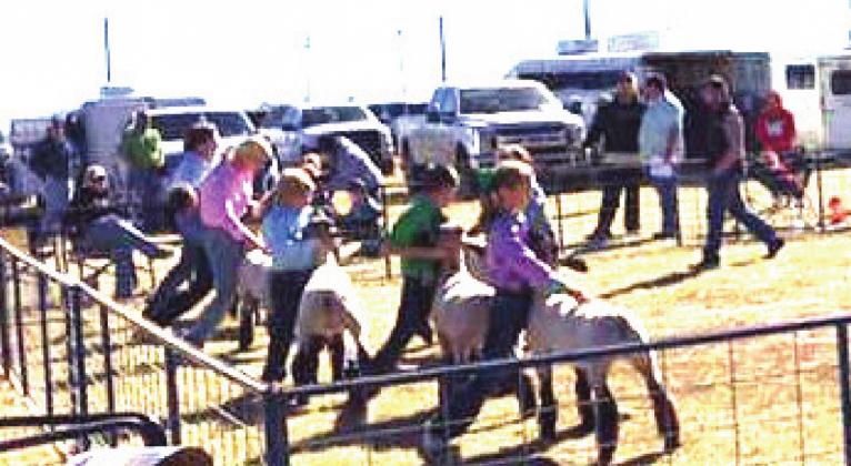 Naz Lamb Jackpot, Clinic a success