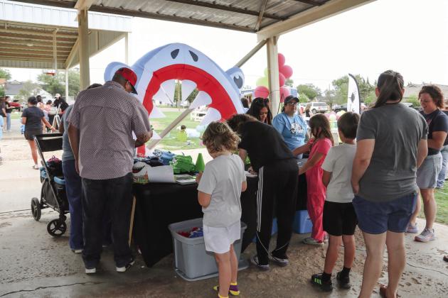 Annual Shark in the Park held