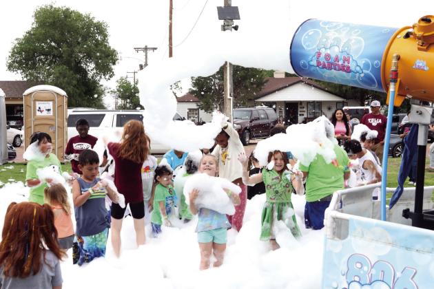 Annual Shark in the Park held