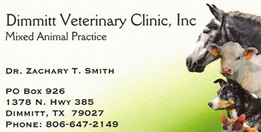 Pet Talk