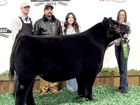 Nazareth FFA Kaimy Chaviera placed sixth with her Euro Cross Steer at the Fort Worth Stock Show.