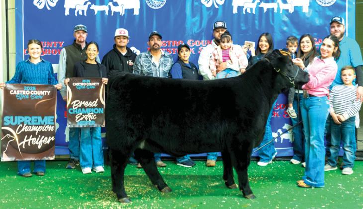 The Castro County and Nazareth stock shows are done with great exhibitors and livestock ready for to head for the majors. This year’s Castro County Supreme Heifer was shown by Kaylin Acker, and the Grand Champion Steer shown by Harper Johnson, both members of Nazareth FFA. See stock show results in the Livestock Special Section.