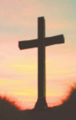 Crown of Thorns