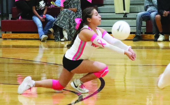 Mariah Briones dives for the ball