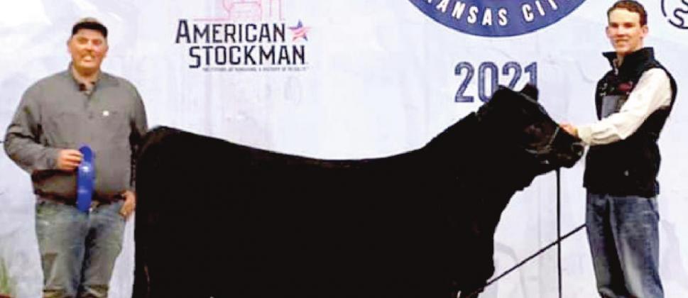 (Photo Above) Naz FFA Landry Kleman won his Limousin heifer class at the American Royal Livestock Show in Kansas City this past weekend. The American Royal is one of the premier stock shows in the country.