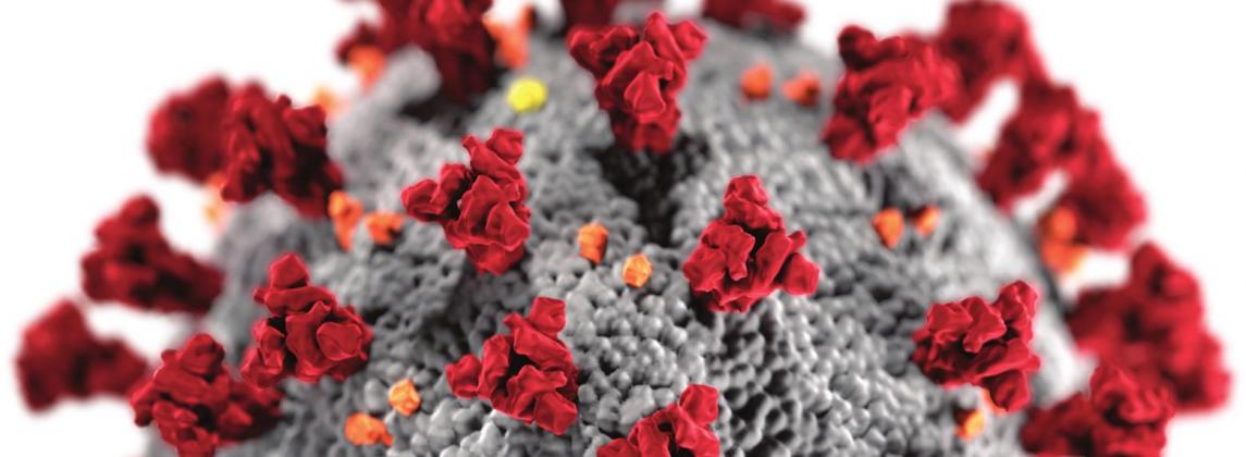 Underlying conditions affect C-19 outcomes