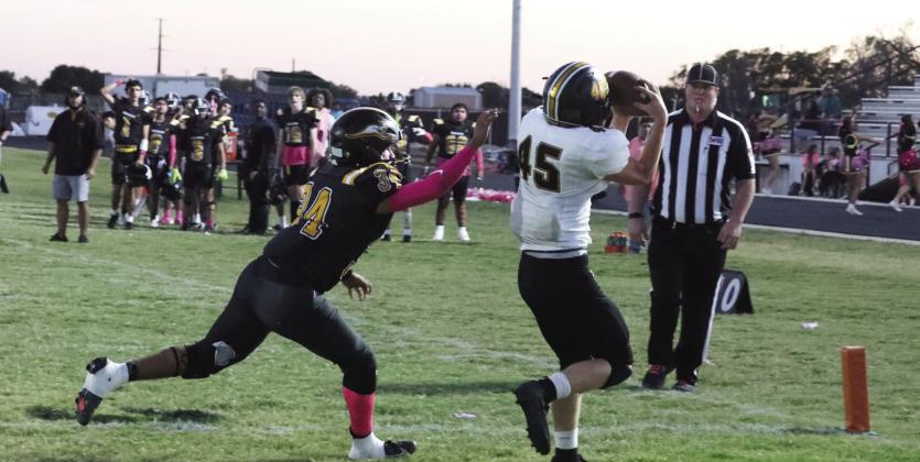 AJ Seal makes the catch for a touchdown
