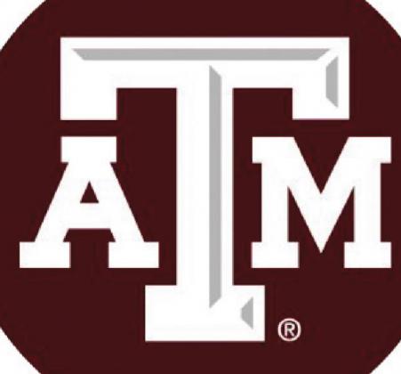 Texas A&amp;M investigating ‘large scale’ cheating