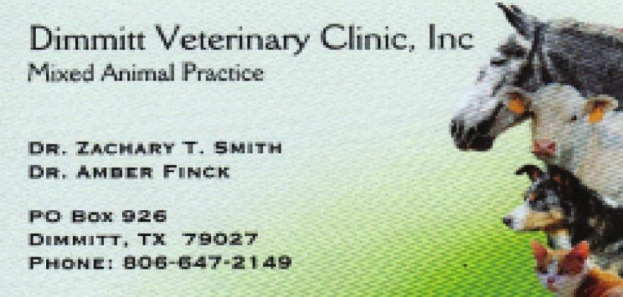 Pet Talk