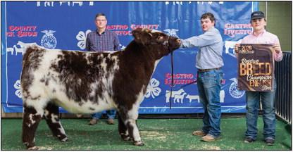 Kade Simpson is pictured with his Reserve Breed Champion English Market Steer at this year’s Castro County Junior Livestock Show.