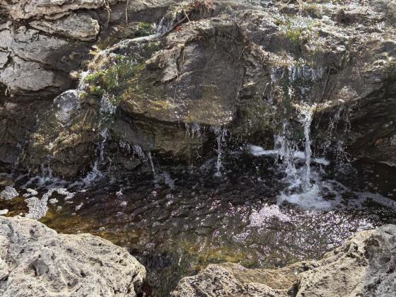 Rock Creek restoration to be topic of Borger field day