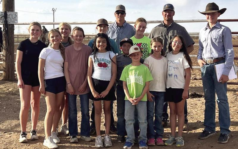 HORSE JUDGING TIPS