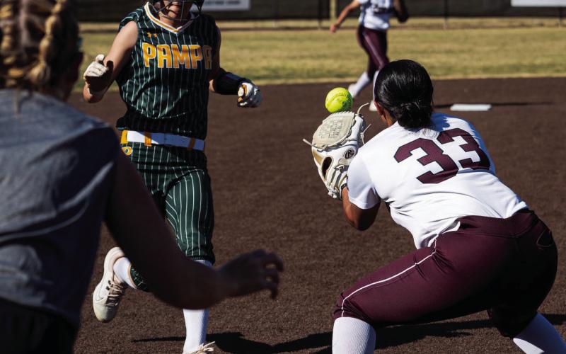 LADY WHITEFACE SOFTBALL