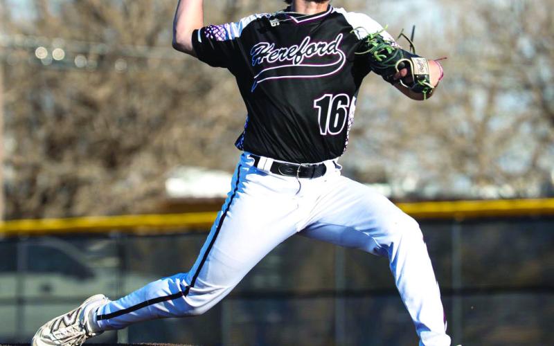 HERD BASEBALL