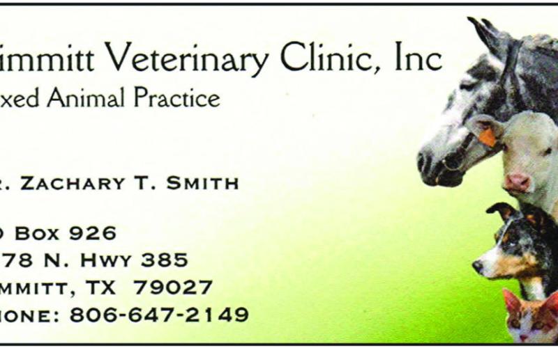 Pet Talk