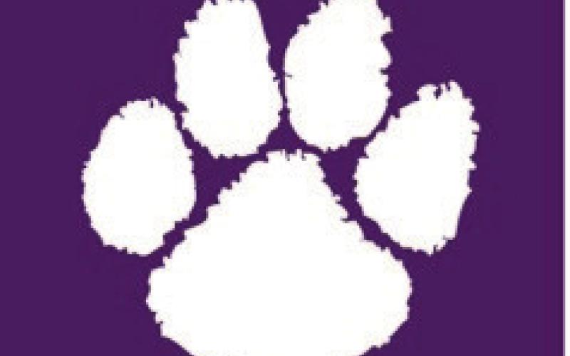 DIMMITT ALL-DISTRICT HOOPS