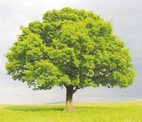 Xcel advises on energy saving