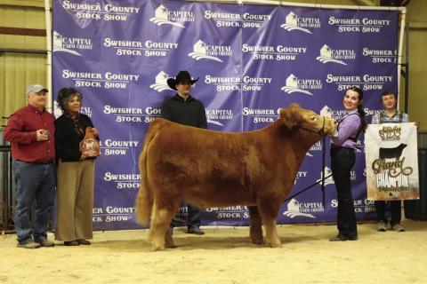 Grand Champion Steer - Addilyn Reed Courtesy Photo by Avary Wesley