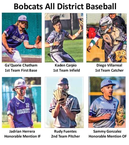 Bobcats All District Baseball