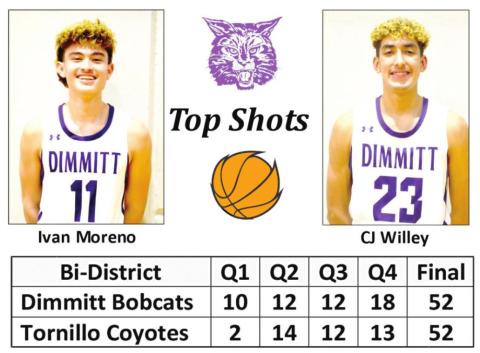 Bobcats snag Bi-District title