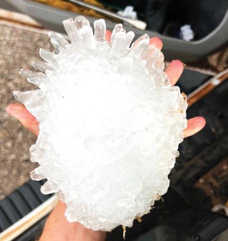 806 Storm Chasers reported that a hailstone that fell east of Tulia has officially set a new state record. Measuring at 7.25 inches in diameter, storm chasers Val and Amy Castor documented the hailstone 3 miles WNW of Vigo Park, Texas at 7:37 p.m. on June 2, shattering the previous record of 6.4 inches in Hondo, Texas in 2021.