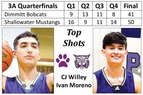 Bobcats fall in quarterfi nals