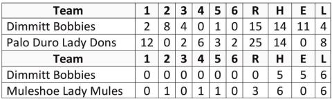 Bobbies lose to Lady Dons