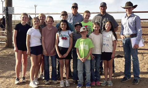HORSE JUDGING TIPS