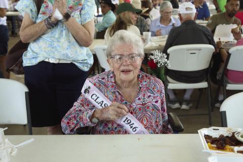SWISHER COUNTY PICNIC REUNIONS