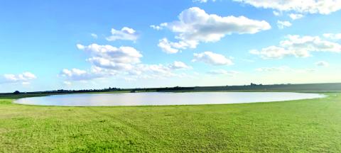 CLEAR DRAINAGE--With a good grassland buffer in place, playas like this one surrounded by native grasses receive 'polished' water vital for recharging the Ogallala aquifer.