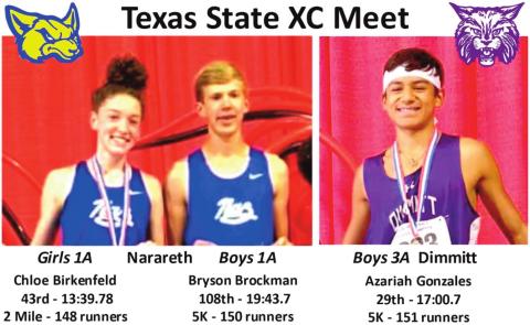 Naz, Dimmitt compete at state XC meet