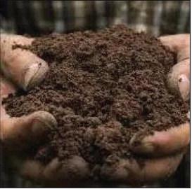 Soil and Water Stewardship Week observance recalls vital lessons