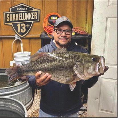 A THREE-PEAT--Ross Gomez of Post caught the lone Legacy Lunker bass to come from Lake Alan Henry in the 2026 ShareLunker season, a 14.74 pound 25 incher on January 22.Gomez’s catch became the 32nd all-time Legacy Class Lunker for Alan Henry and put the water body on the board for the second year in a row. Ironically, the Legacy Lunker fish Gomez caught in January was the exact same Legacy Class fish he had caught on two previous occasions in almost the same location.