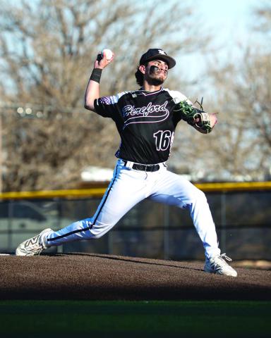 HERD BASEBALL