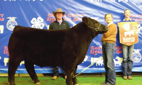 (Photo above) Reserve Champion Steer – Harper Johnson, Nazareth FFA