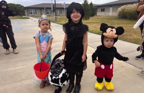 MORE TRICK OR TREATING