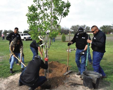 FUTURE SHADE--City personnel are seen planting a tree in this file photo from 2025 when an effort to plant more trees in Hereford was launched. Ten more 15-gallon trees are to be planted April 24. (Photo by Jim Steiert)