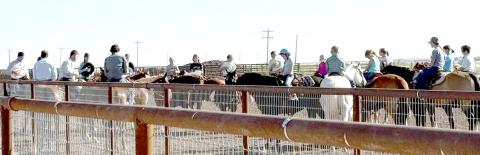 Castro County 4-H