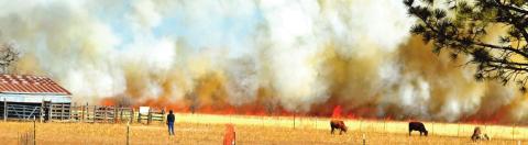 Firefighters battle fast-moving blazes