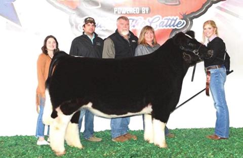 Naz, Dimmitt FFA show at Patriot