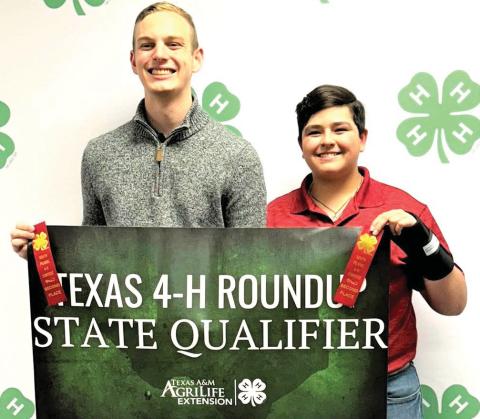 Castro 4-H scores
