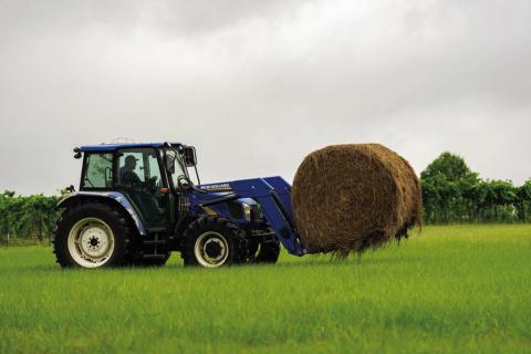 A bumper hay crop is starting to dwindle as supplies are being used in the wake of dry weather. (Sam Craft/Texas A&amp;M AgriLife)