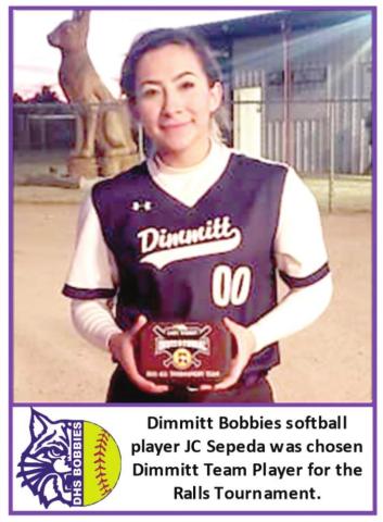 Bobbies fall to Lady Hornets
