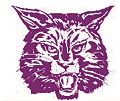 DMS Bobcats begin to