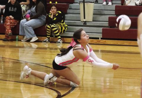 Mariah Briones dives for the ball