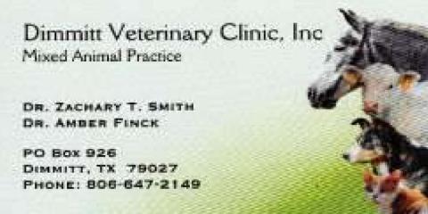 Pet Talk