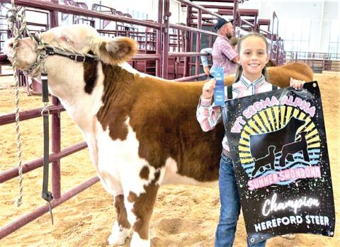 Naz FFA closed out the summer at the Sigma Alpha Summer Showdown with Gabby Heck winning Champion Hereford. Hadlee Hoelting won Reserve AOC and 5th overall steer and Chandler Hoeltingwon Reserve Polled Hereford.