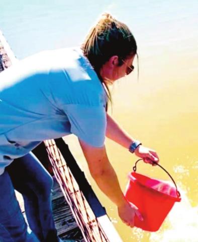 Fish Donation to